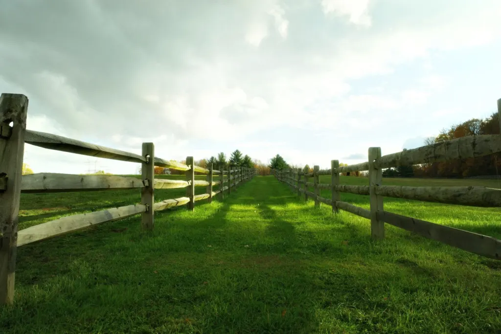 Split-rail ranch fence along a green pasture