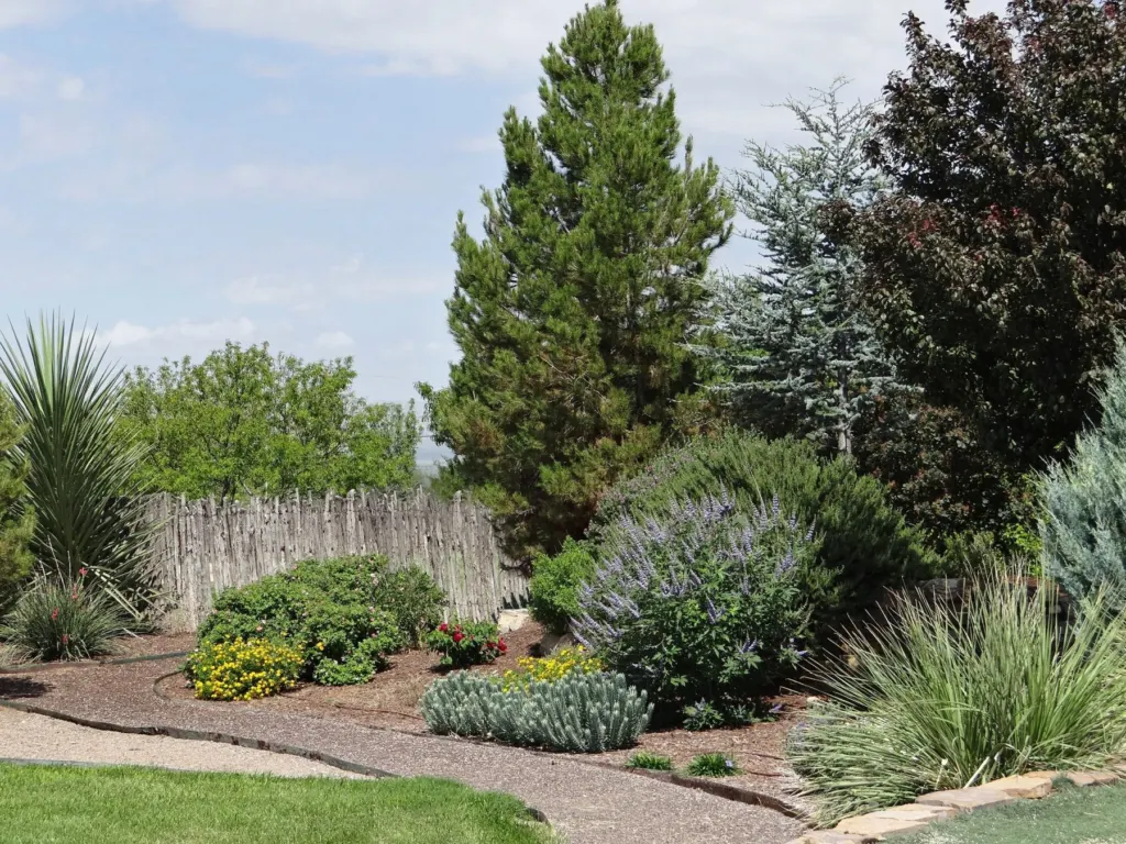 Water-wise landscape with yucca, sage, ornamental grasses and rock